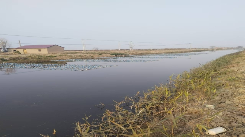 水產養殖尾水治理，助力漁業綠色生態高質量發展